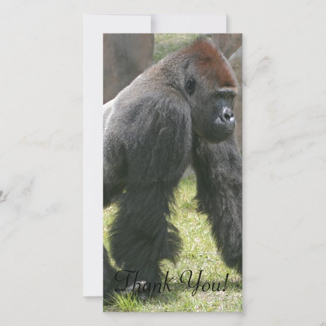 Carte De Remerciements La carotte a complété le gorille avec les bras (Devant)