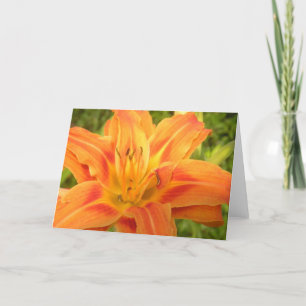 Carte De Remerciements La Lily De La Journée Orange Pour Éclaircir Votre 