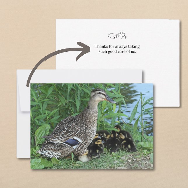 Carte De Remerciements La mère cane et les canards Professeur Remerciemen (Créateur téléchargé)