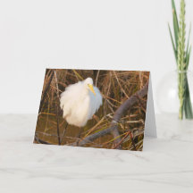 La nature inspirée All occasion card Snowy Egret