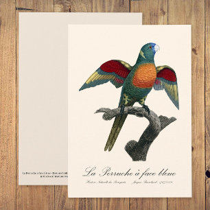 Carte De Remerciements La Perruche une face bleue