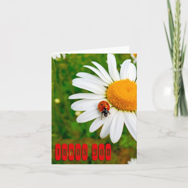 Carte De Remerciements Ladybug & Daisies (Devant)