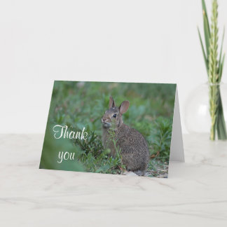 Carte De Remerciements Lapin de coton