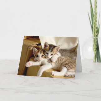Carte De Remerciements Le chaton jumelle la salutation vide