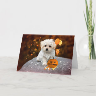 Carte De Remerciements Le Chiot Maltais fête Halloween