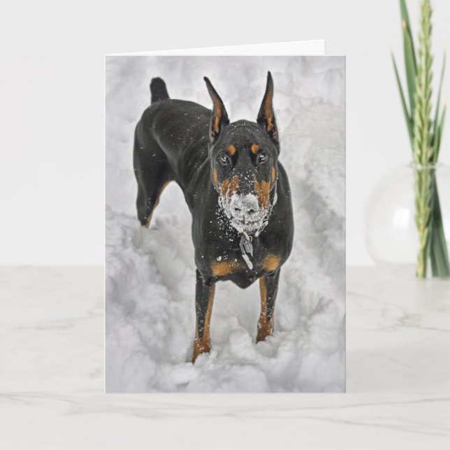 Carte De Remerciements Le dobermann les meilleures joies dans la vie sont (Devant)