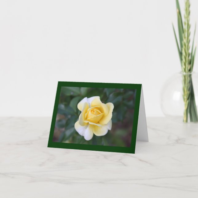 Carte De Remerciements Le rose jaune de Suzanne (Devant)