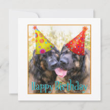 Leonberger