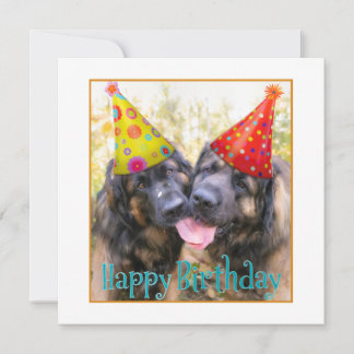 Carte De Remerciements Leonberger