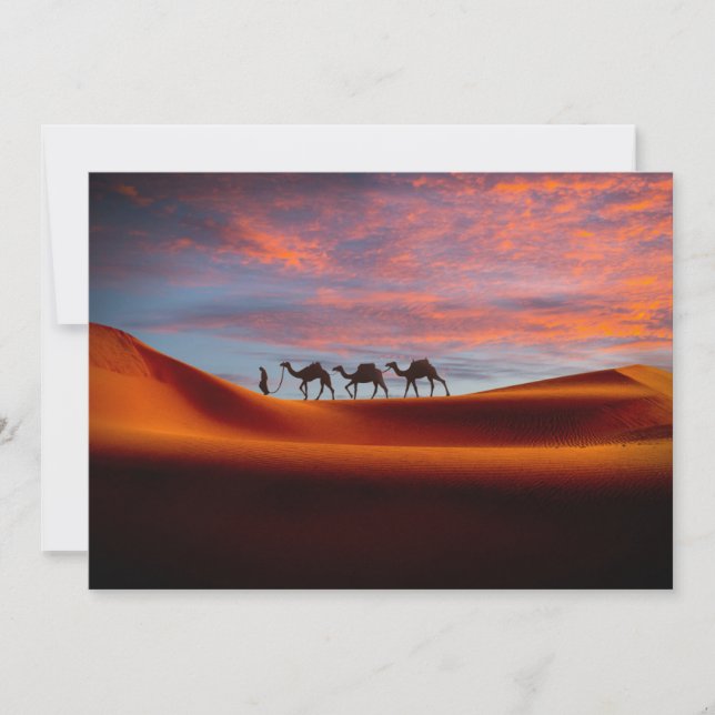 Carte De Remerciements Les déserts | Homme et chameaux dans les dunes de  (Devant)