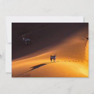 Carte De Remerciements Les déserts Parc national du Namib Naukluft Keny