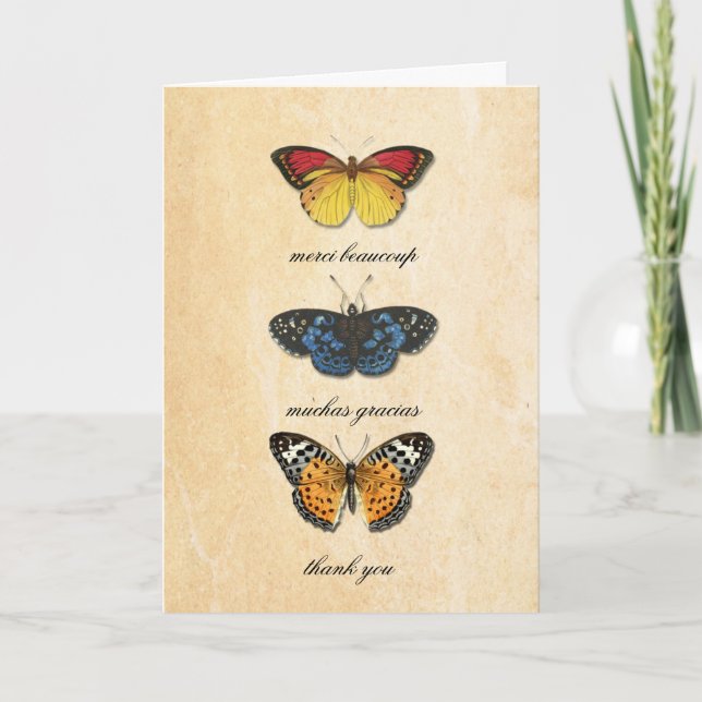 Carte De Remerciements Les Papillons (Devant)