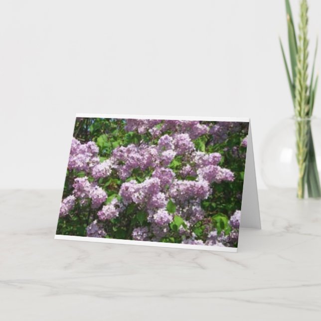 Carte De Remerciements Lilacs (Devant)