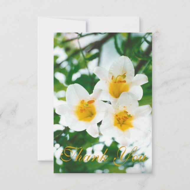 Carte De Remerciements Liliums blancs rustiques - Lilium candidum  (Devant)