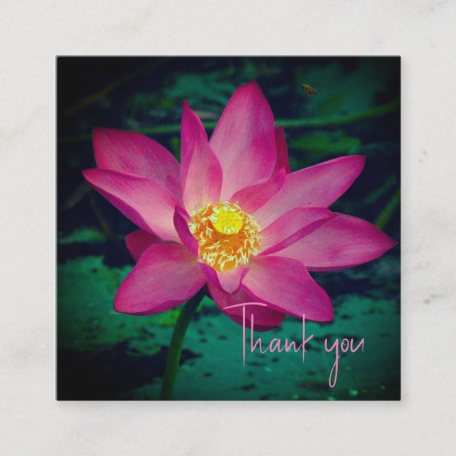 Carte de remerciements Lilly à eau rose (Devant)