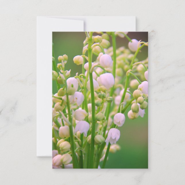 Carte De Remerciements Lily de la vallée (Devant)
