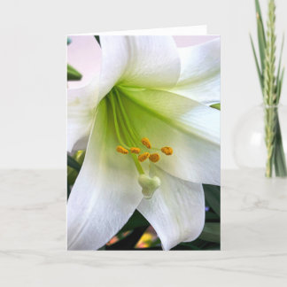 Carte De Remerciements Lily de trompette blanche