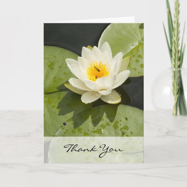 Carte De Remerciements Lily Pads et White Lotus Flower (Devant)