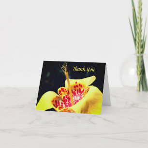 Carte de remerciements Lily tacheté Jaune