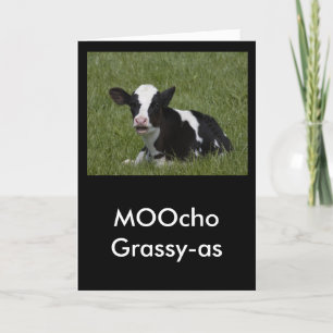 Carte De Remerciements Little Calf