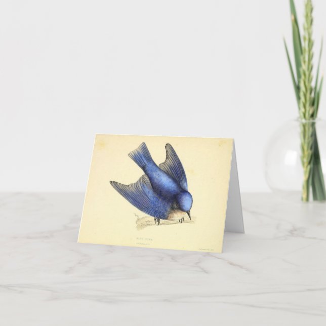 Carte De Remerciements L'Oiseau bleu du bonheur (Devant)