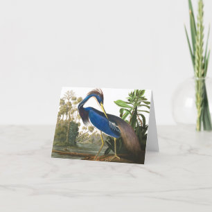 Carte De Remerciements Louisiana Heron par John James Audubon
