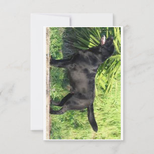 Carte De Remerciements LR noir complet