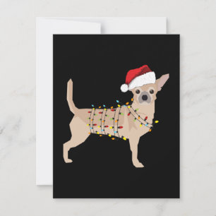 Carte De Remerciements Lumière de Noël de Chihuahua