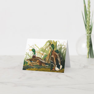 Carte De Remerciements Mallard Duck par John James Audubon