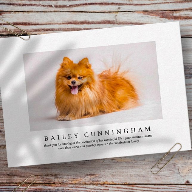 Carte De Remerciements Mémorial Funéraire Pour Animal De Compagnie | Phot (Créateur téléchargé)