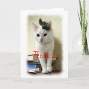 Carte De Remerciements Merci, Enseignant, Kitten on Books Card