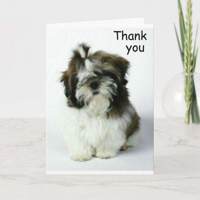 CARTE DE REMERCIEMENTS ***MERCI*** POUR TOUTE RAISON (Devant)