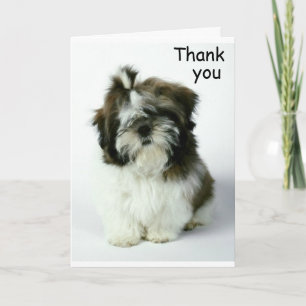 CARTE DE REMERCIEMENTS ***MERCI*** POUR TOUTE RAISON