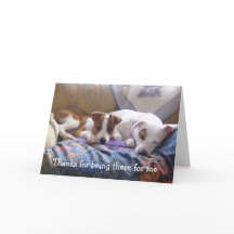 Mercis de chiens d'être là