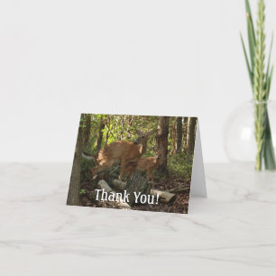 Carte De Remerciements Mère et bébé cerf au Parc national de Shenandoah