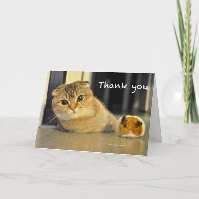 carte de remerciements mignon de chat de nouilles (Devant)