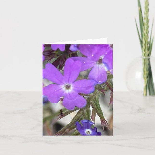 Carte De Remerciements Mildred La Fourmi 🐜 Regarde (Devant)