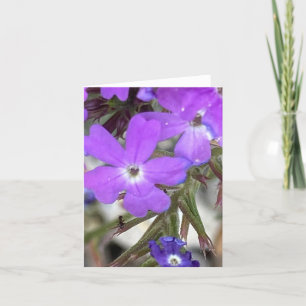 Carte De Remerciements Mildred La 🐜 Regarde