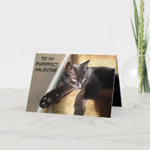 CARTE DE REMERCIEMENTS MON PURRFECT VALENTINE KITTY