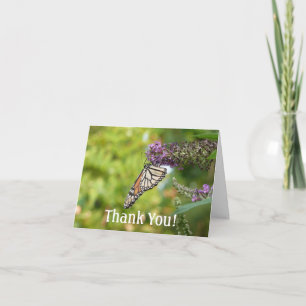 Carte De Remerciements Monarque sur Buddleia