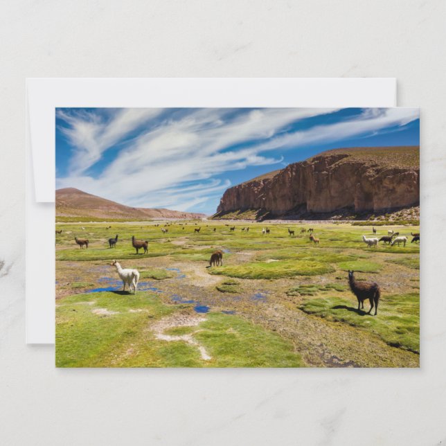 Carte De Remerciements Montagnes | Andes boliviennes (Devant)