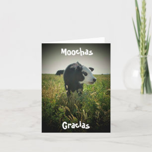 Carte De Remerciements Moochas Gracias