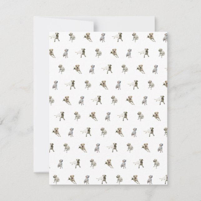 Carte De Remerciements Motif de labrador retriever (blanc) (Devant)