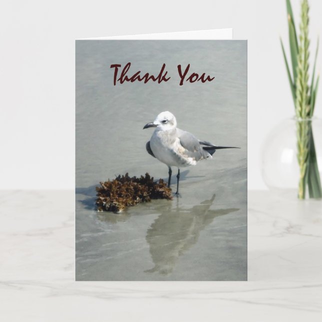 Carte De Remerciements Mouette avec algues sur mesure (Devant)