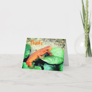 Carte de remerciements naturel de Salamander Red E