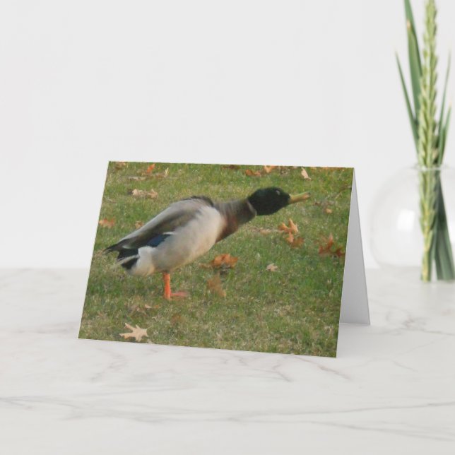 carte de remerciements "Neighborhood Mallard Shaki (Devant)