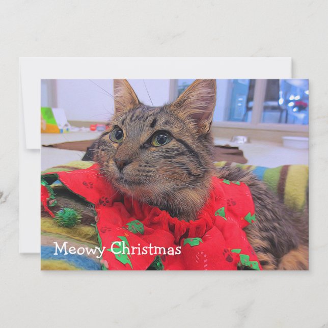 Carte De Remerciements Noël de Meowy (Devant)