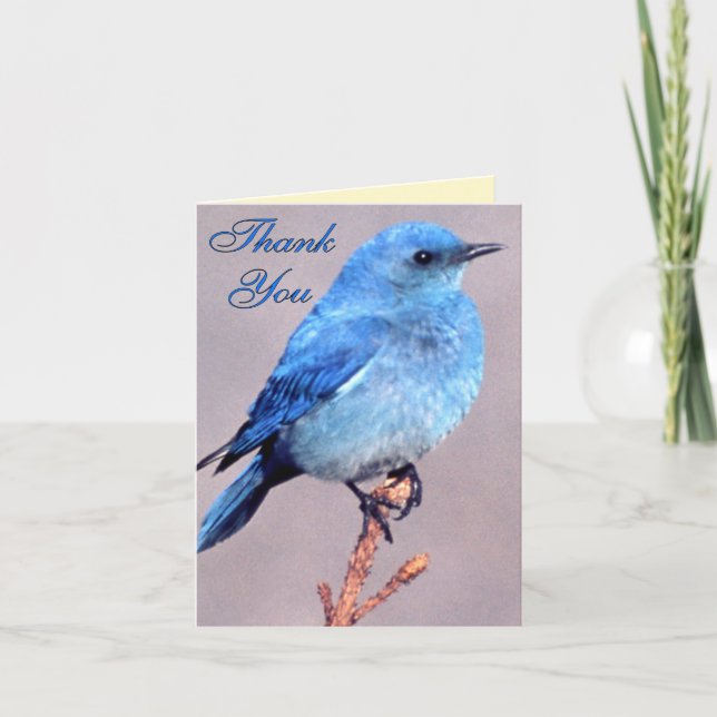 Carte de remerciements occidental d'oiseau bleu (Devant)