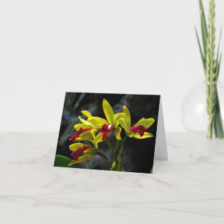 Carte De Remerciements Orchidées