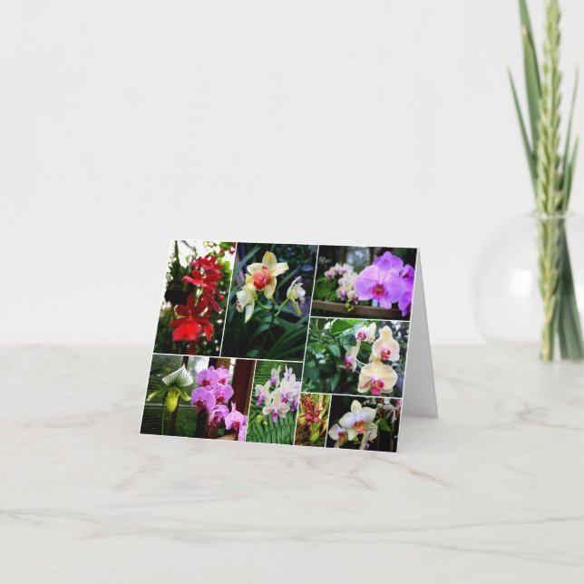 Carte De Remerciements Orchidées (Devant)